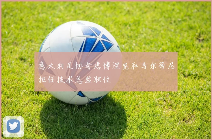 意大利足协考虑博涅克和马尔蒂尼担任技术总监职位